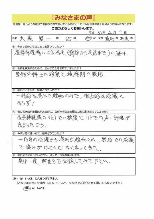 股関節／膝関節の検査と治療～力を使わず、痛みを伴わない新しい検査・治療法～ 股関節／膝関節の検査と治療～力を使わず、痛みを伴わない新しい